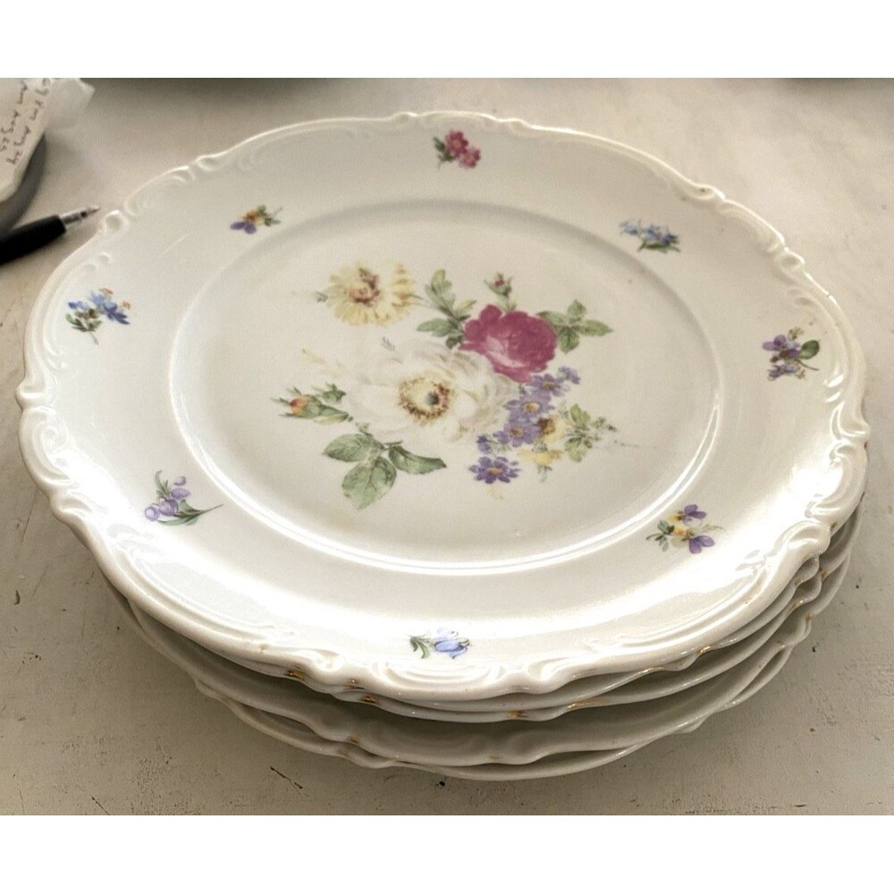 Mitterteich Bavaria Meissen Floral Germany Lot of 5, 10" Dinner Plates